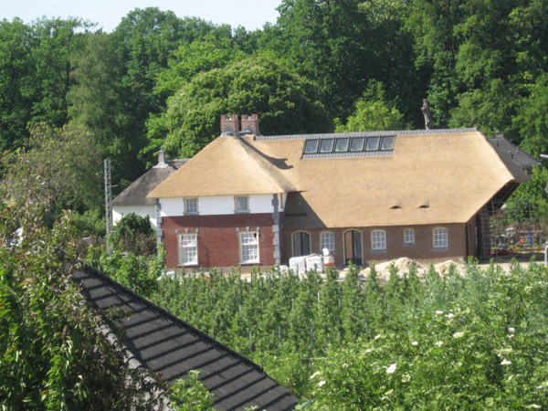 Karakteristieke woning, nieuw dak