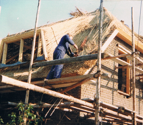 Onderhoud aan rieten dak door Visscher